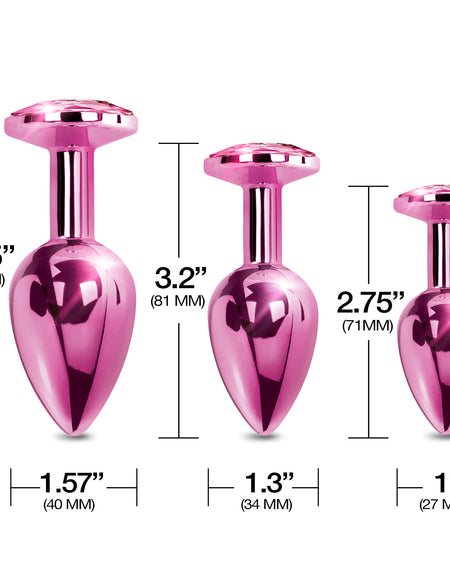 NIXIE Metal Butt Plug Trainer Set, Pink Metallic - THES