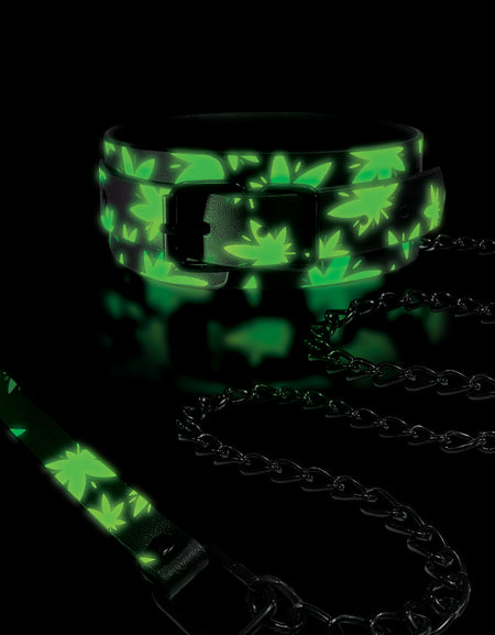 Stoner Vibes, Chronic Collection, Glow In The Dark, Collar & Leash - THES