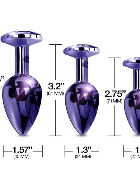 NIXIE Metal Butt Plug Trainer Set,  Purple Metallic - THES